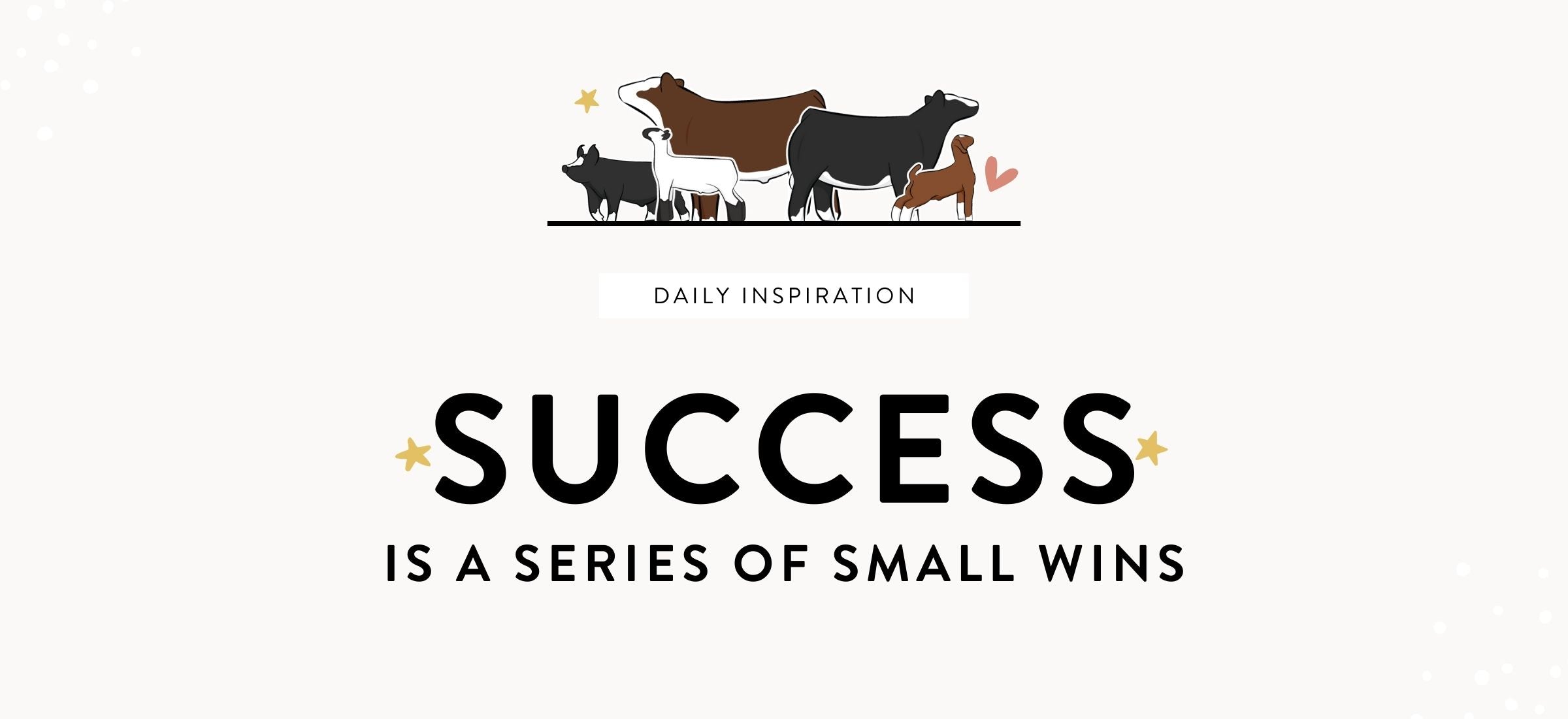 Success is a series of small wins - Livestock & Co.