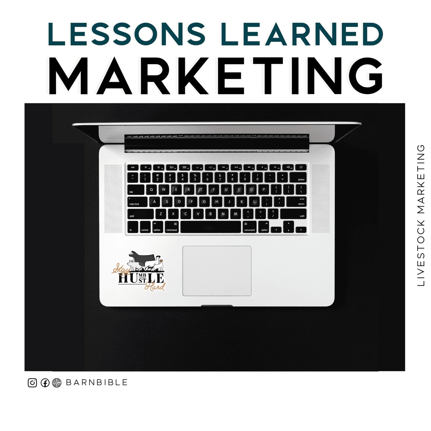 Lessons Learned in Marketing - Livestock & Co.