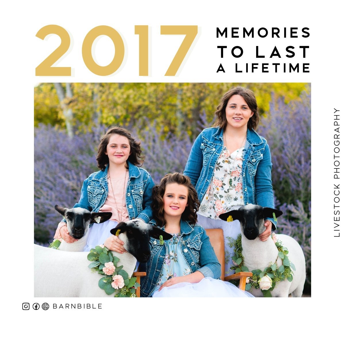 Memories To Last A Lifetime - Livestock & Co.