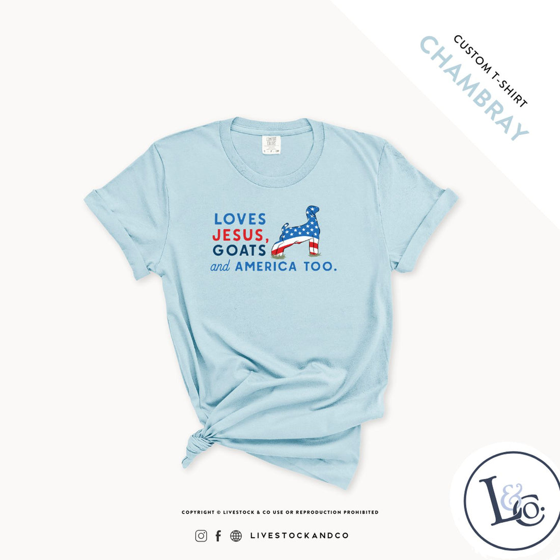 Custom Made Loves Jesus, Goats and America Too - Youth T-Shirt Stock Show Livestock - Livestock &amp;amp; Co. Boutique